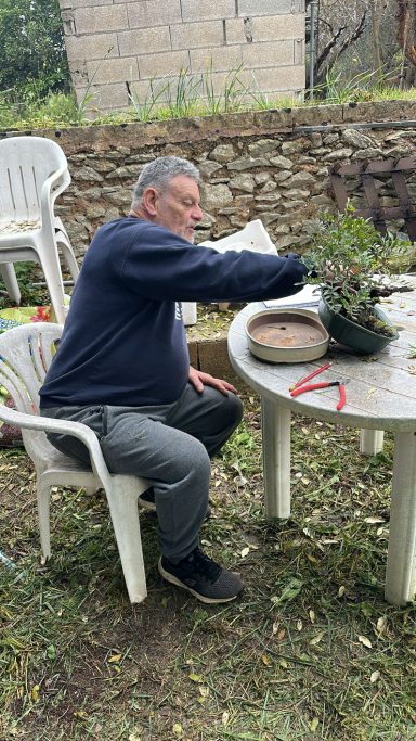 trabajo en el lentisco Sr. rigo